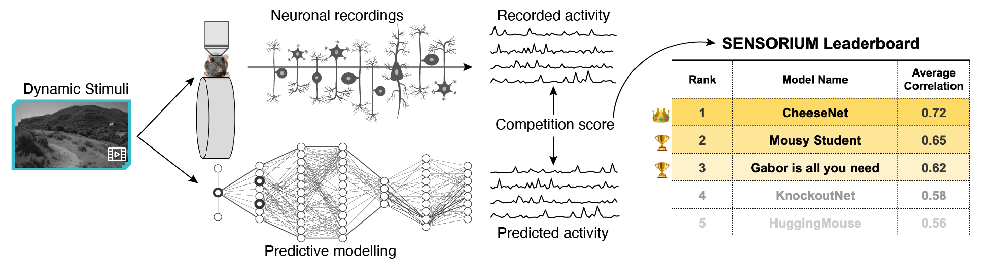 SENSORIUM 2023 schematic